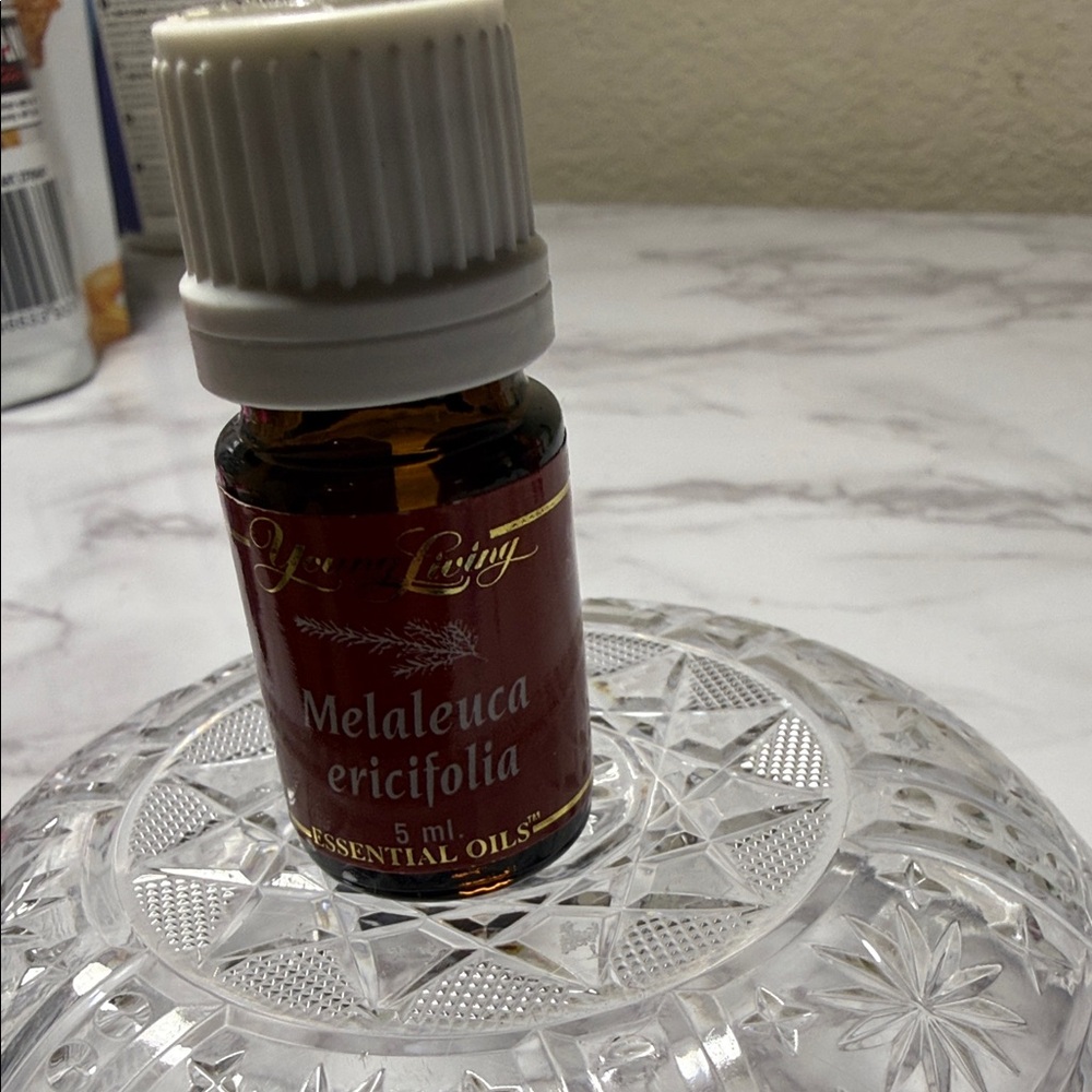 Young Living Melaleuca Ericifolia Oil with Red and Gold Label
